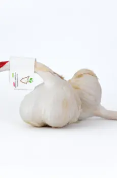 Aglione