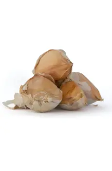 Aglione della Valdichiana a spicchi, Agricola Paduano
